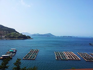 Agriculture and Marine Resources